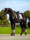 Tapis de selle Modern Midsummer Blush DRESSAGE - Equestrian Stockholm