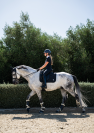 Tapis de Dressage Spineshield Swarovski - Samshield - Mousse haute densit&eacute;
