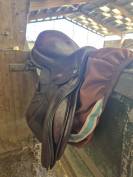 Selle Voltaire CSO
