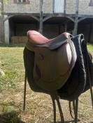 ? Selle Antares &ndash; cuir marron &ndash; 2022 &ndash; tr&egrave;s bon &eacute;tat