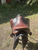? Selle Antares &ndash; cuir marron &ndash; 2022 &ndash; tr&egrave;s bon &eacute;tat