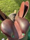 Selle mixte