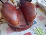 selle butet