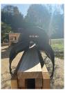 La AACHEN Forestier dressage 