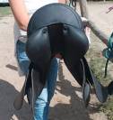 Selle cheval Norton pro - 17.5 pouces