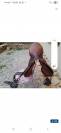 Selle mixte cuir Forestier 