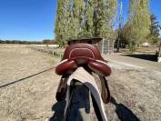 Selle CWD 