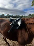 Selle Eric Thomas Fitter 17&rdquo; cuir 