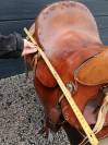 Selle western 
