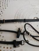 Gogue Cheval
