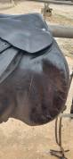 Selle Pariani marron - taille 18