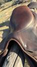 selle gbs