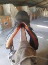 Selle forestier 