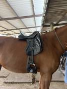 Selle de dressage ZALDI SANJORGE 16,5 pouces
