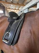 Selle de dressage Majorman
