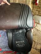 Selle type islandais 