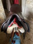 Selle type islandais 