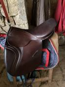 Selle type islandais 