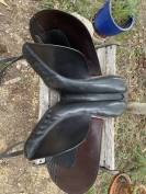 Selle type islandais 