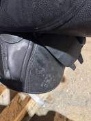Selle cwd