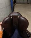 Selle Antares Connexion 17p 