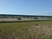 Marcheur Ovale Speed Horse Training jusqu'à 30 chevaux