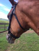 filet noir taille cheval 