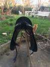 Selle de dressage forestier 18'