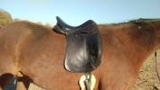 Selle de dressage forestier 18'
