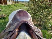 Selle Meredith, Prestige