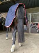 Couverture Pénélope 