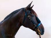 Cabezada para caballos Vaquero Lazypony, mosquero bridl