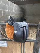 Selle de dressage 