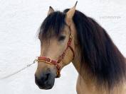 Cabezada serreta Lazypony, leather Cavesson 