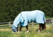 Chemise Rambo Sweetitch Hoody Horseware