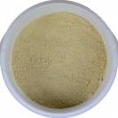 Fenugrec Cheval - Prise de masse cheval