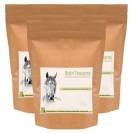 Fenugrec Cheval - Prise de masse cheval