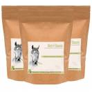 Cassis Cheval - Confort des Articulations