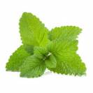 Mélisse 1kg - Horse Remedy