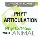 Phyt'articulation cheval - probl&egrave;mes articulaires