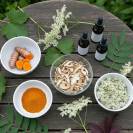 Phyt'articulation cheval - probl&egrave;mes articulaires