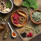 Phyto'cush &eacute;quin - Phyt'Os'mose Animal - 500 ml