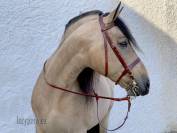 Cabezada Hunter Lazypony, Hunter leather horse bridle