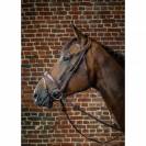 Bridon Dy'on collection muserolle et frontal anatomique