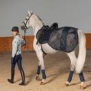 Couvre-reins anti-mouches Classic Sports 2020 - Eskadron