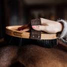 Brosse douce à poils durs - Kentucky