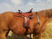 Selle western continental 