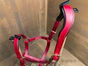 Cabezada de cuero anatómico Lazypony, Anatomical halter