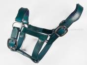 Cabezada de cuero anat&oacute;mico Lazypony, Anatomical halter