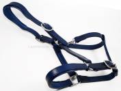 Cabezada de cuero anat&oacute;mico Lazypony, Anatomical halter